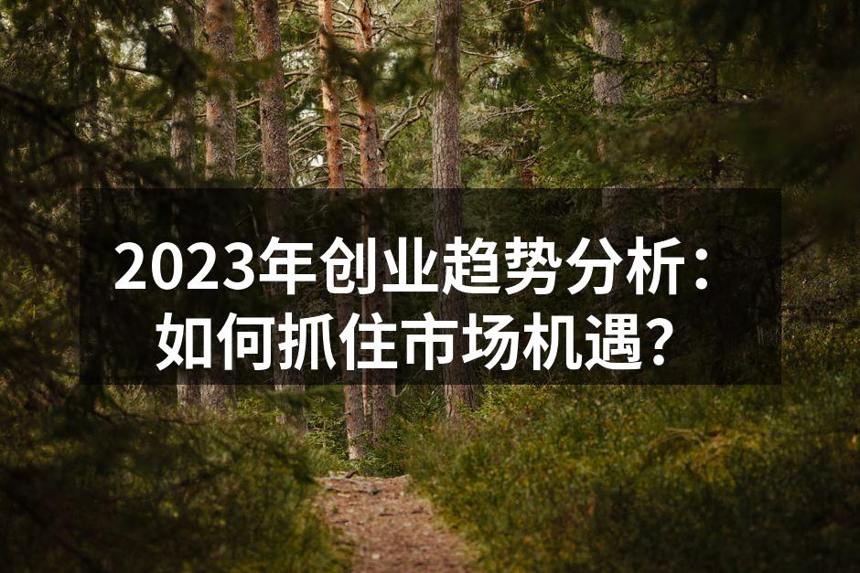2023年创业趋势分析：如何抓住市场机遇？